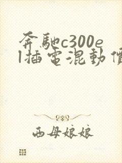 奔驰c300el插电混动价格