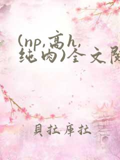 (np,高h,纯肉)全文阅读