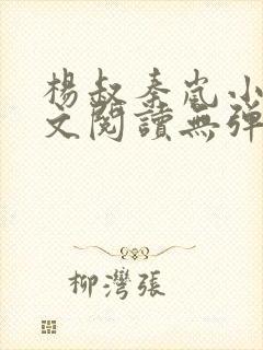 杨叔秦岚小说全文阅读无弹窗