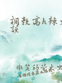 调教高h辣文小说