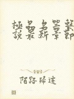 极品名器系统小说最新章节更新状态