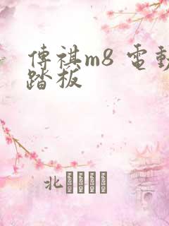 传祺m8 电动踏板