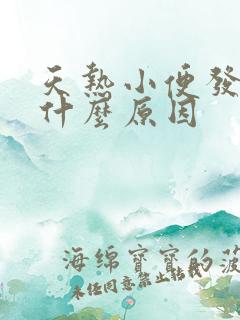 天热小便发黄是什么原因