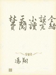 林天小说全文免费阅读完结篇