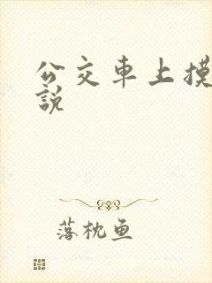 公交车上摸我小说
