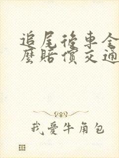 追尾后车全责怎么赔偿交通费用