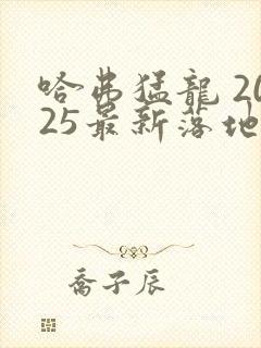 哈弗猛龙 2025最新落地价