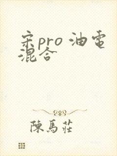 宋pro 油电混合
