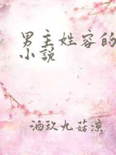男主姓容的古言小说