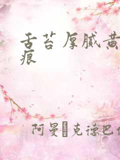 舌苔厚腻黄有齿痕