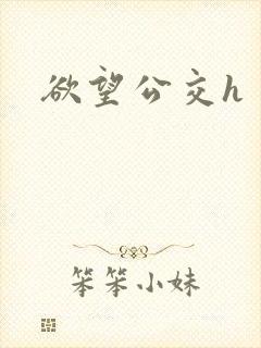欲望公交h