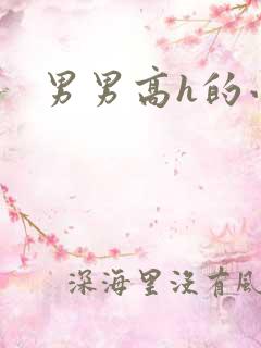 男男高h的小说