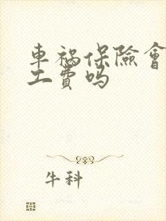 车祸保险会赔误工费吗