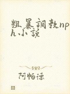 粗暴调教np高h小说