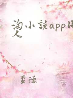 淘小说app同人