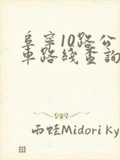 阜宁10路公交车路线查询 阜宁10路公交车路线查询