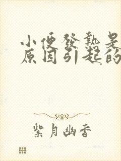 小便发热是什么原因引起的