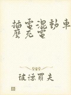插电混动车型怎么充电