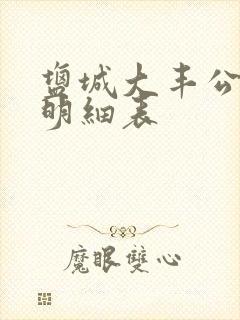 盐城大丰公交车明细表