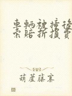 车辆被撞后可以索赔折损费吗
