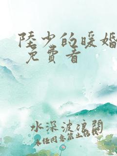 陆少的暖婚新妻 免费看