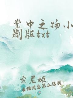 掌中之物小说未删版txt