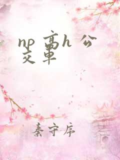 np 高h 公交车