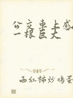 公交车上感觉有一根巨大