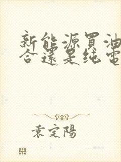 新能源买油电混合还是纯电的
