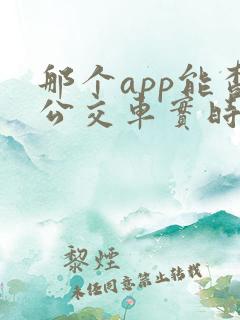 那个app能查公交车实时到站