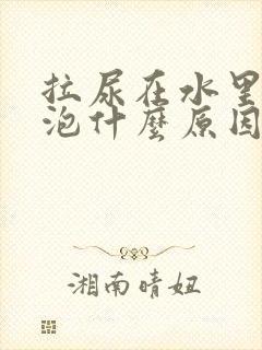 拉尿在水里会起泡什么原因 拉尿在水里会起泡什么原因