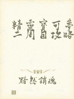 精灵宝可梦xy二周目攻略