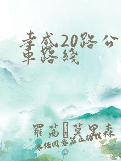 孝感20路公交车路线