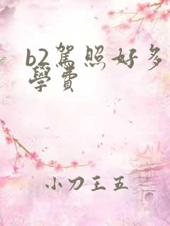b2驾照好多钱学费 b2驾照好多钱学费