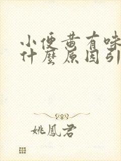 小便黄有味道是什么原因引起的