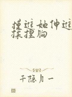 摸进她伸进内衣揉捏胸