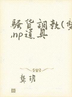 骚货调教(双性,np道具