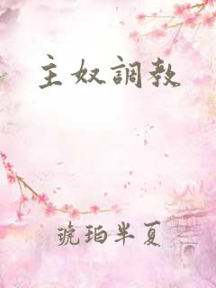 主奴调教