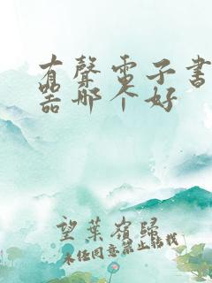 有声电子书阅读器哪个好