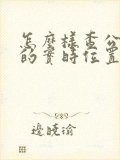 怎么样查公交车的实时位置