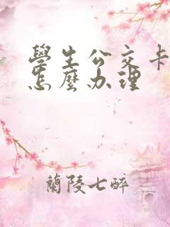 学生公交卡线上怎么办理 学生公交卡线上怎么办理