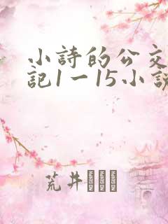 小诗的公交车日记1一15小说