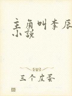 主角叫李辰安的小说