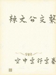 辣文公交系列