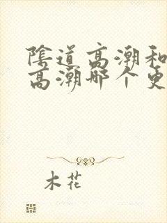 阴道高潮和阴蒂高潮哪个更舒服