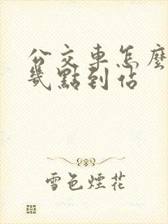 公交车怎么查询几点到站