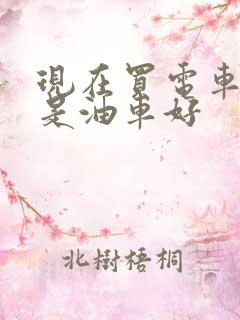 现在买电车好还是油车好 现在买电车好还是油车好