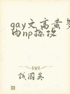 gay文高黄多肉np总攻
