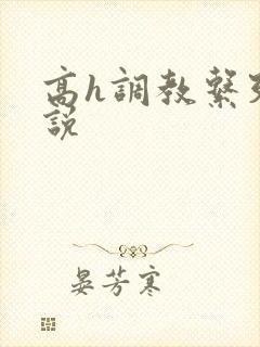 高h调教系列小说