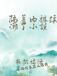 隔着内裤揉弄高潮了小说